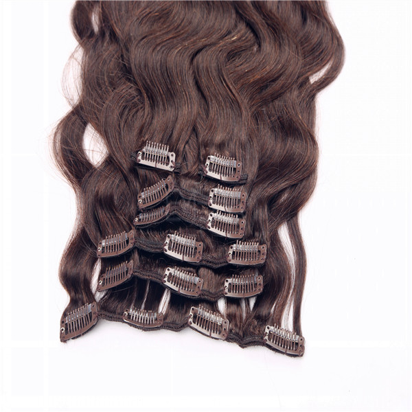 Clip In Human Hair Extensions Near Me Top Quality Body Wave Human Remy Hair Extensions LM201